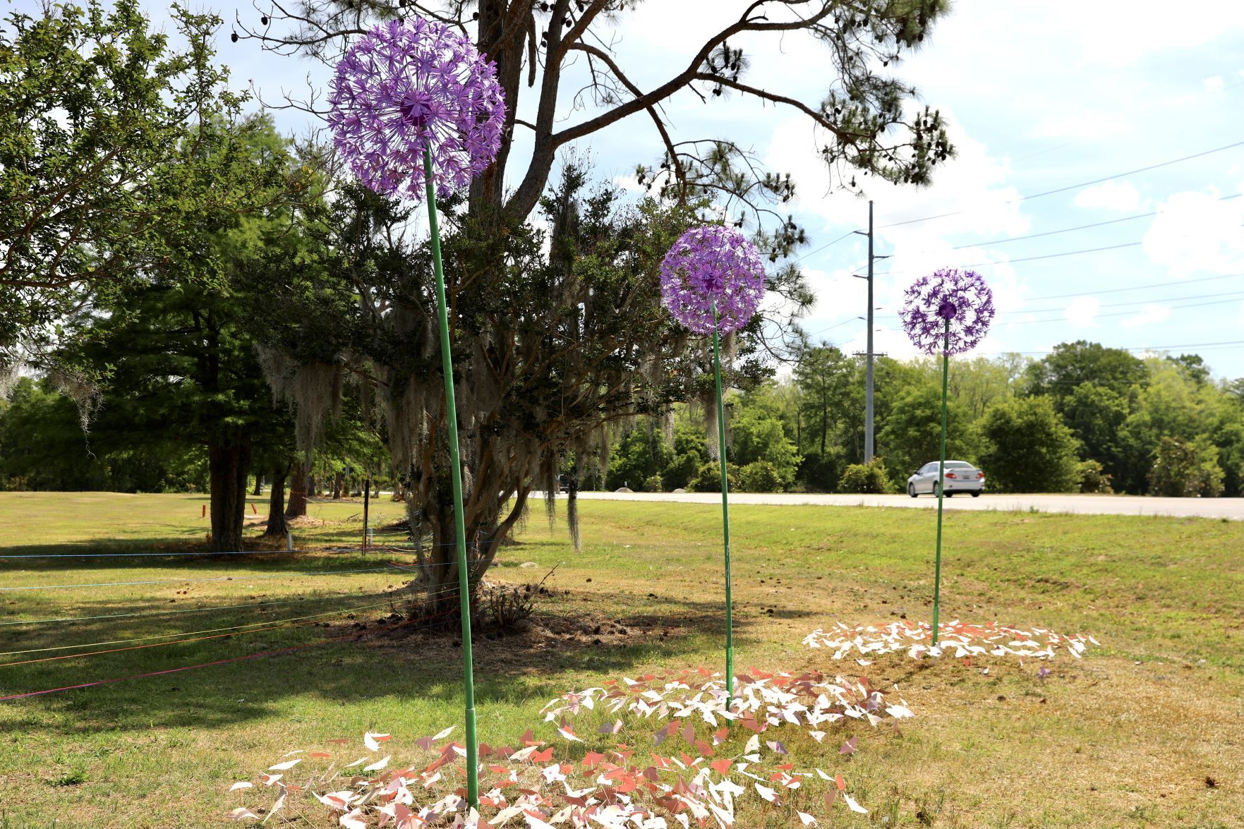 Outdoor Art Exhibit